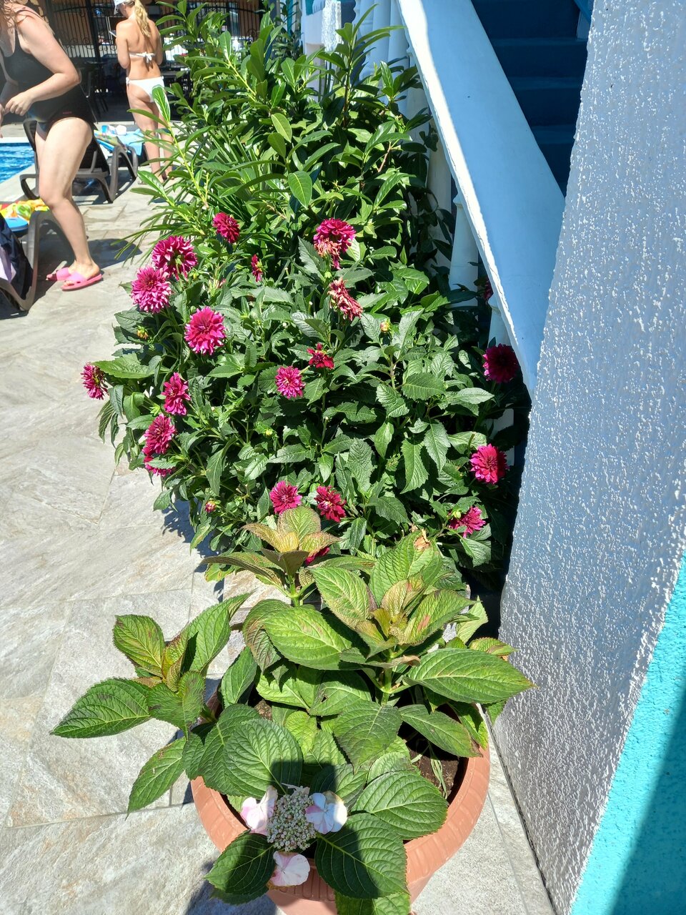 Гостиница Дубок Лермонтово-80